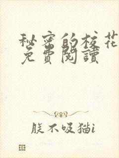 秘密的校花小说免费阅读