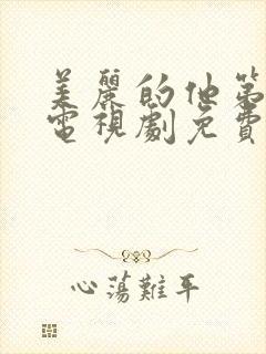 美丽的他第一季电视剧免费观看全集高清