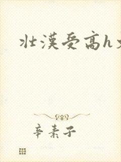 壮汉受高h文