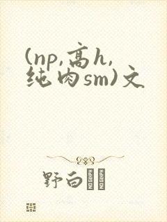 (np,高h,纯肉sm)文