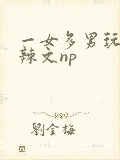 一女多男玩弄h辣文np