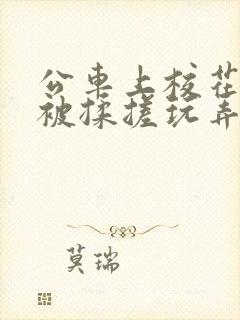 公车上校花双乳被揉搓玩弄