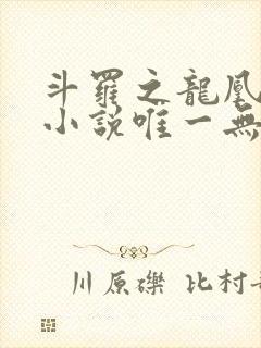 斗罗之龙凰传说小说唯一无双
