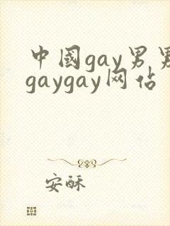 中国gay男男gaygay网站