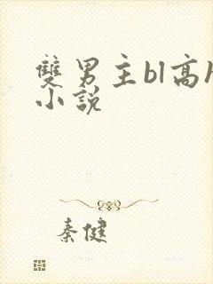 双男主bl高h小说封面