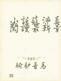 小说苏沛真全文阅读最新章节更新时间
