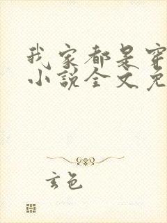 我家都是穿来的小说全文免费阅读