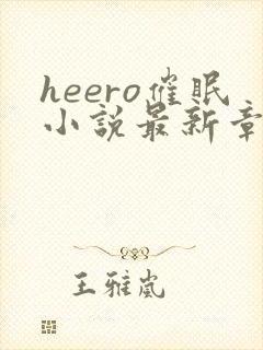 heero催眠小说最新章节更新时间是多少