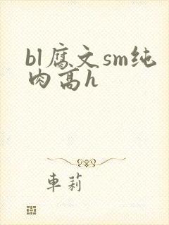 bl腐文sm纯肉高h封面