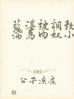 蓝湛被调教喷水沦为肉奴小说
