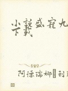 小说盛宠九皇妃下载