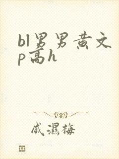bl男男黄文多p高h封面