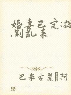 婚妻已定:总裁,别乱来