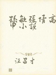 孙敏张倩高义王申小说