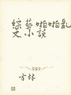 综艺啪啪乱淫h文小说