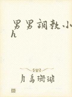 男男调教小说高h