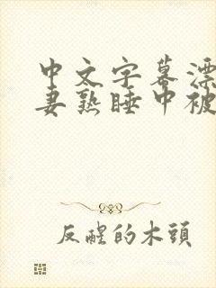 中文字幕漂亮人妻熟睡中被公侵犯的