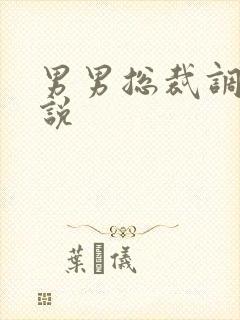 男男总裁调教小说