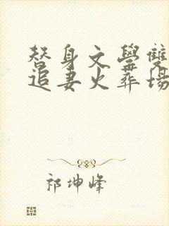 替身文学双男主追妻火葬场推荐封面