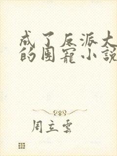 成了反派大佬们的团宠小说