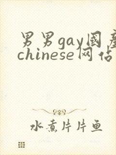男男gay国产chinese网站