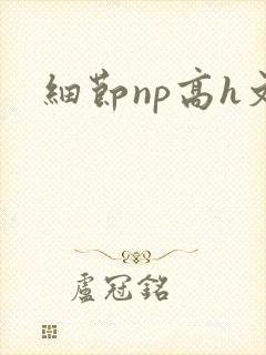 细节np高h文