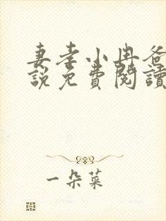妻孝小冉爸爸小说免费阅读封面
