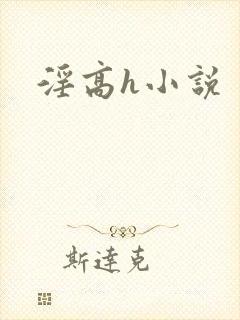 淫高h小说封面