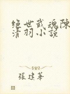 绝世武魂陈枫燕清羽小说