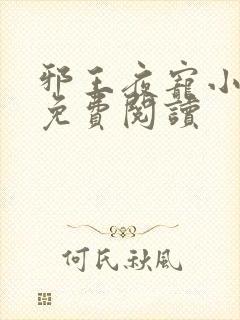 邪王夜宠小毒妃免费阅读