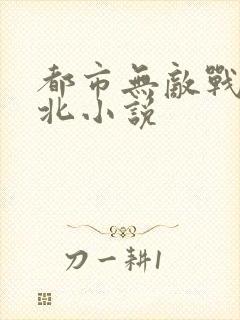 都市无敌战神林北小说
