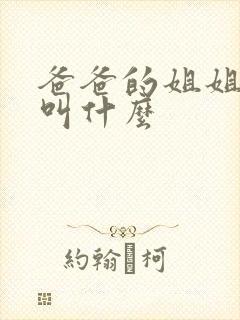爸爸的姐姐丈夫叫什么