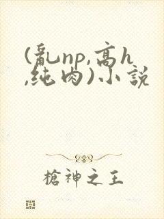 (乱np,高h,纯肉)小说封面