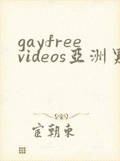 gayfreevideos亚洲男男
