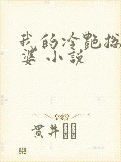 我的冷艳总裁老婆 小说