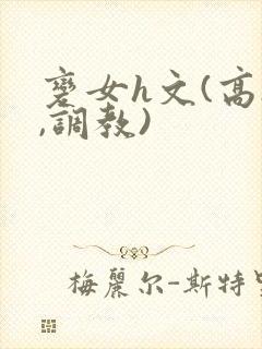 变女h文(高h,调教)