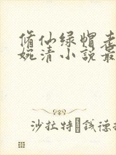 修仙绿帽老婆林婉清小说最新章节更