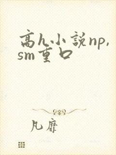 高h小说np,sm重口