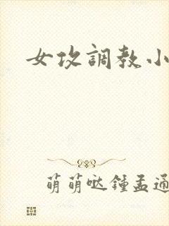 女攻调教小说h
