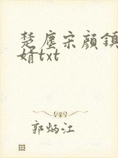 楚尘宋颜镇国神婿txt
