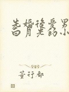 先婚后爱男主有白月光的小说