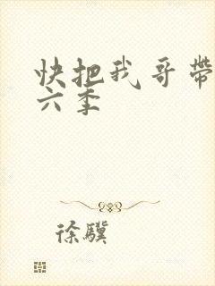 快把我哥带走第六季