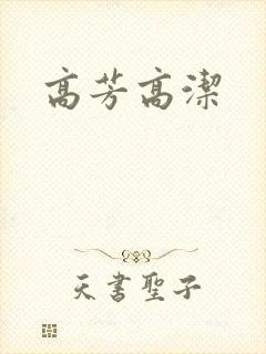 高芳高洁封面
