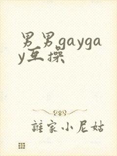 男男gaygay互操