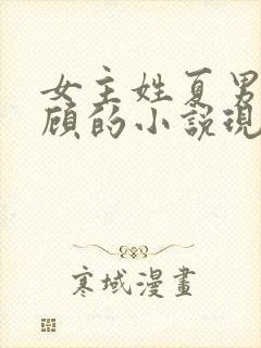 女主姓夏男主姓顾的小说现代言情