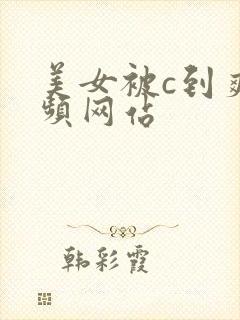 美女被c到爽视频网站