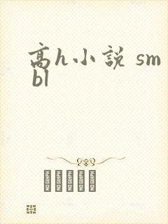 高h小说 sm bl
