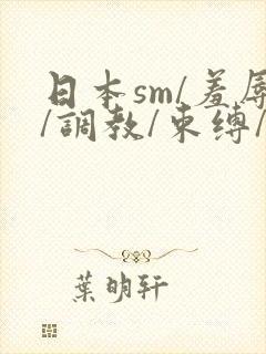 日本sm/羞辱/调教/束缚/捆绑封面