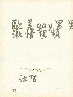 欧美gay男男激情视频
