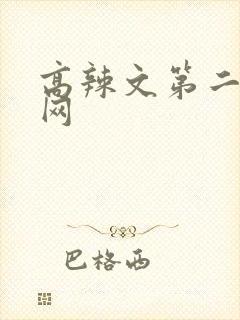 高辣文第二书包网